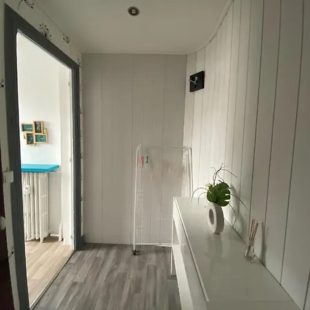 Appartement 2 Pièces Quartier Belle époque *